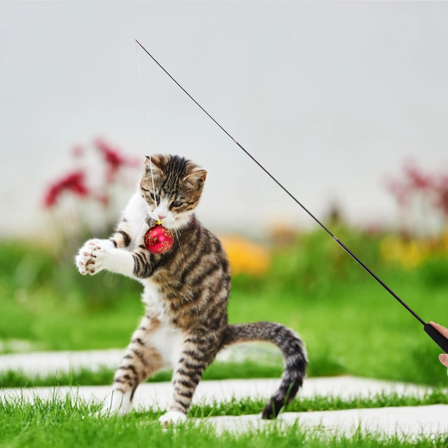 Cat Teaser Wands Three-section Telescopic Fishing Pole Wand Interactive Replacement Multi-function for Indoor Games Or Exercise